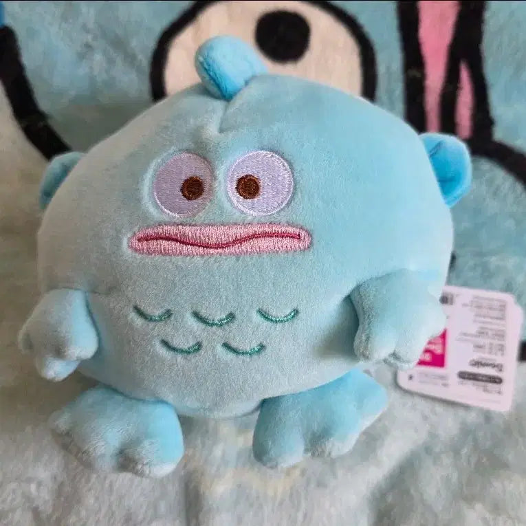 [BUNJANG] Sanrio Hangyodon Charachar Character Doll / 산리오 한교동 찰찰이 인형