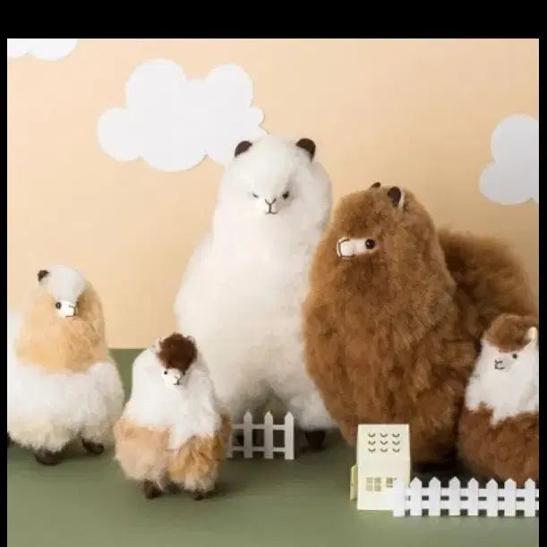 [BUNJANG] Cumbly Alpaca Plush Set (Medium) - White &amp; Light Beige / 컴발리 알파카 중 화이트 + 소 베이지 일괄판매