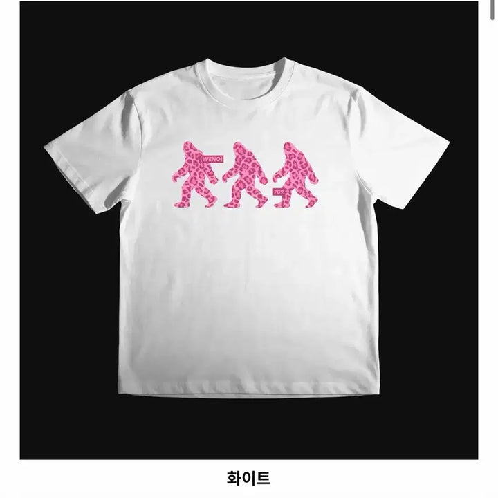 [BUNJANG] &amp;TEAM Nicholas T-shirt Doll Photocard / 앤팀 니콜라스 일이님 티셔츠 양도 인형 포카