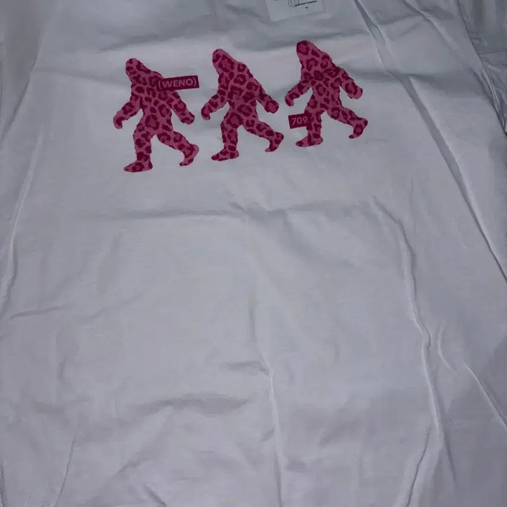 [BUNJANG] &amp;TEAM Nicholas T-shirt Doll Photocard / 앤팀 니콜라스 일이님 티셔츠 양도 인형 포카