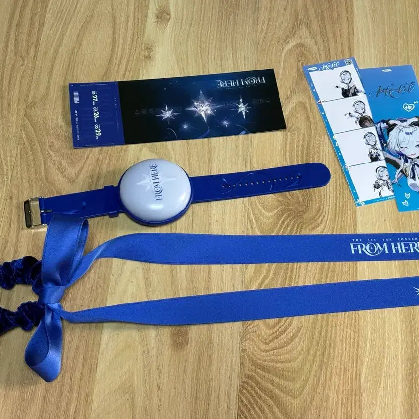 [BUNJANG] Hebi From Here Cheering Bracelet Set / 헤비 hebi From here 응원 팔찌 세트