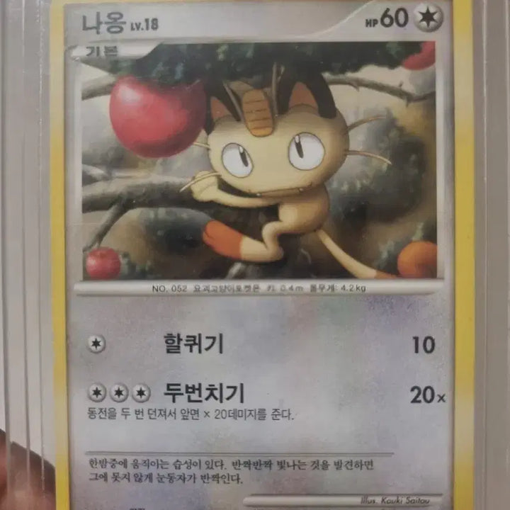 [BUNJANG] Ancient Naong General Card (17 Years Old) / 17년전 나옹 고대 일반카드