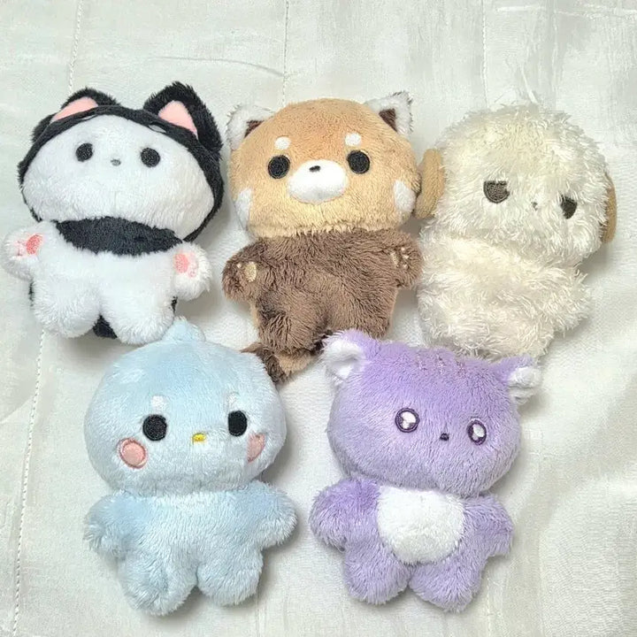 [BUNJANG] Kklzang 10cm Doll Bundle Set w/ Special Gift / 사인클 솜인클 10cm 인형 클짱 일괄 특전포함