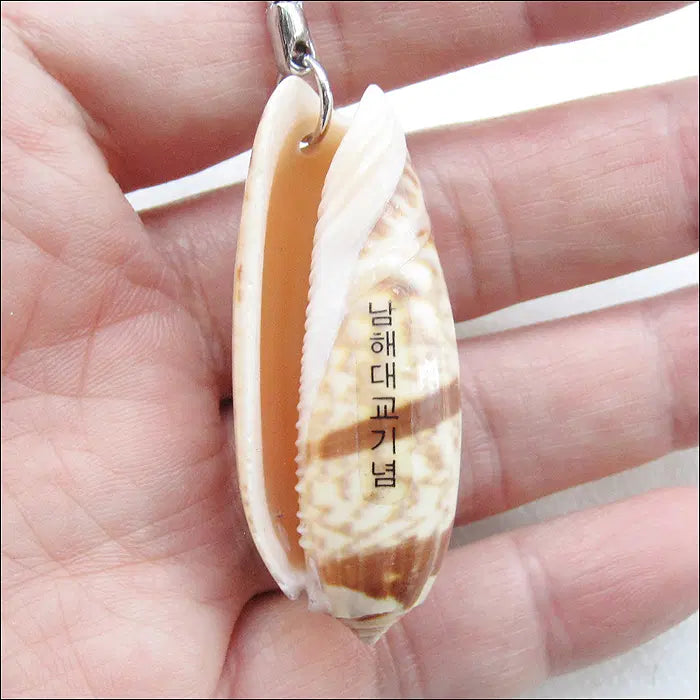 [BUNJANG] Namhaedaegyo Bridge Memorial (Real Seashell) Keychain / 남해대교기념 (실물 조개) [키링, 열쇠고리] (k292)