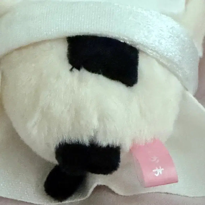 [BUNJANG] Chiikawa Racco Plush / 치이카와 투성이 랏코