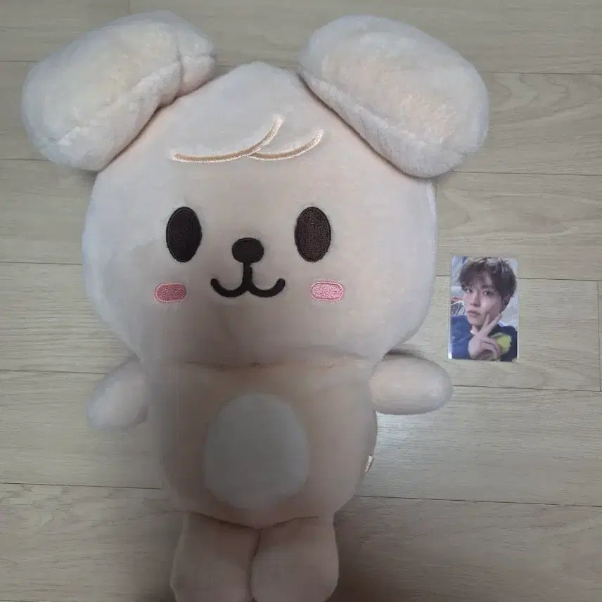 [BUNJANG] Stray Kids Seungmin PERMPIM Backpack Plush Bag / 원가이하, 급처)스키즈 팬미팅 엠디 김승민 퍼핌 백팩 스키주 가방 플러시백