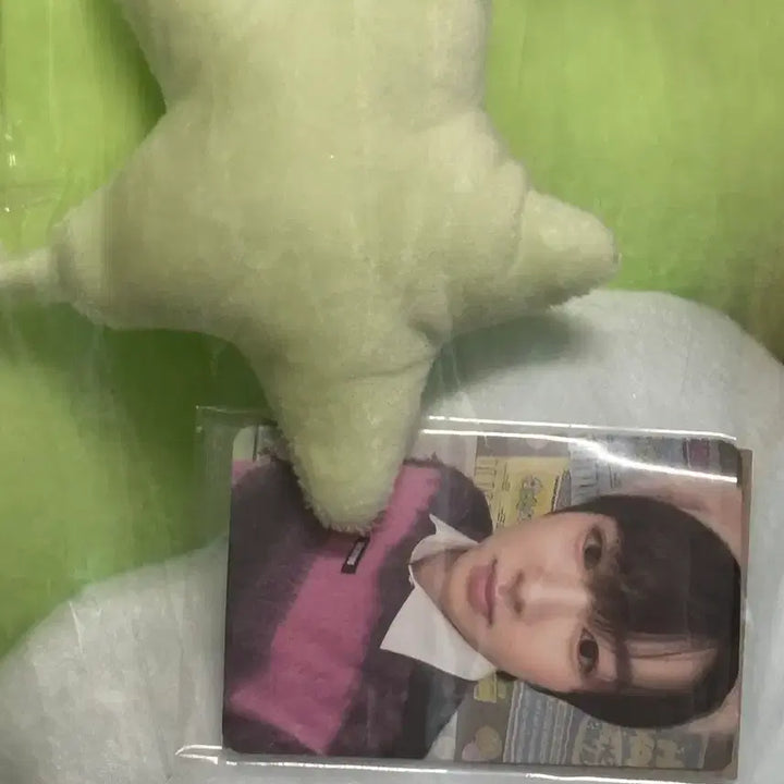 [BUNJANG] Witchu Cushion / 위츄 쿠션