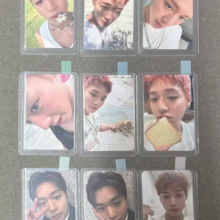 [BUNJANG] Park Jihoon Photocard Bundle Set / 박지훈 포토카드 일괄 판매