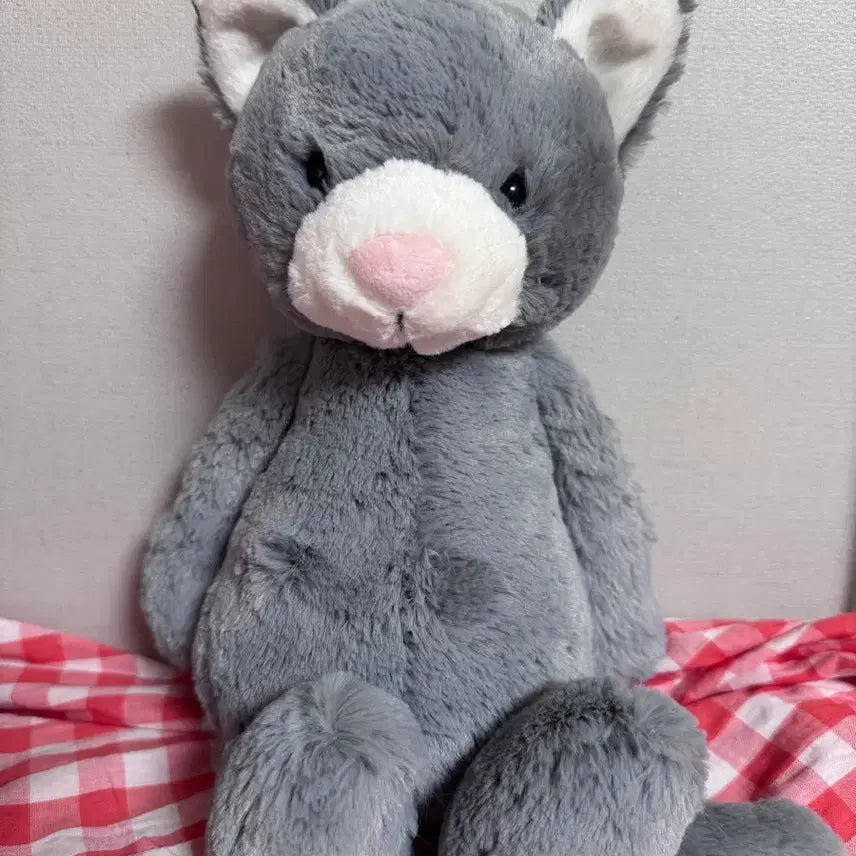 [BUNJANG] Jellycat Bashful Kitten Medium / jellycat 젤리캣 바쉬풀 키튼