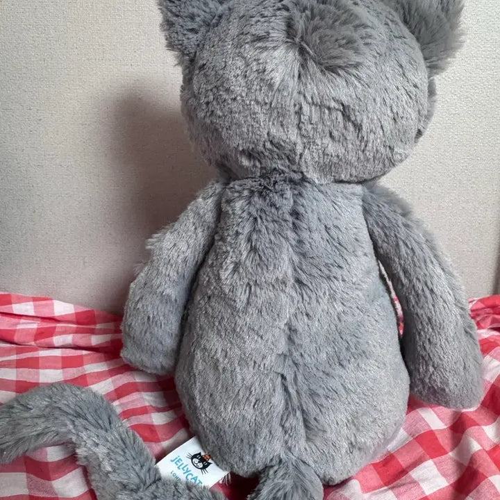 [BUNJANG] Jellycat Bashful Kitten Medium / jellycat 젤리캣 바쉬풀 키튼