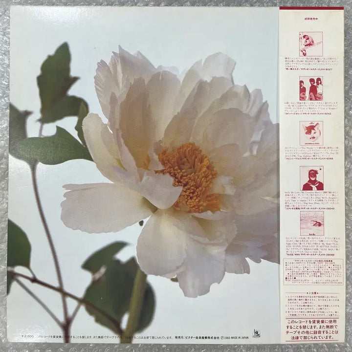 [BUNJANG] Southern All Stars Kirei LP Record / Southern All Stars / Kirei 엘피