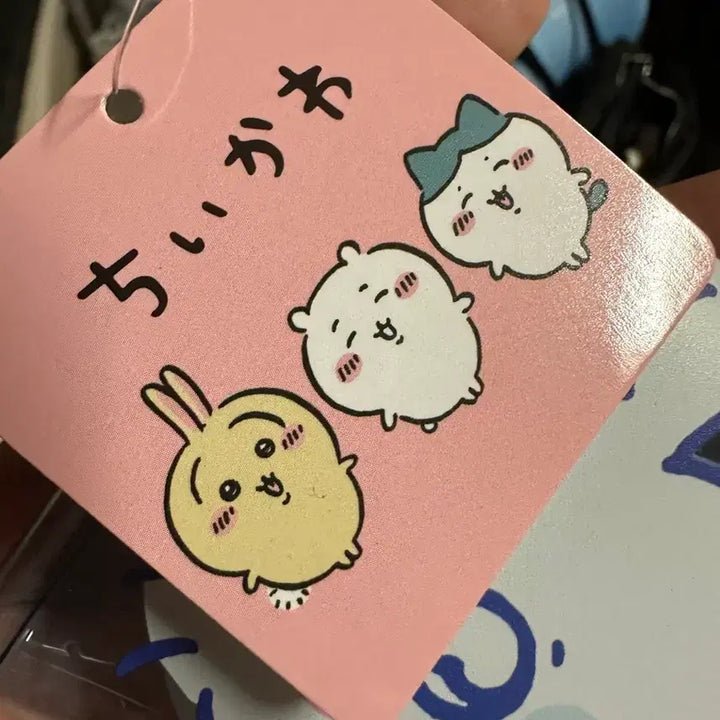[BUNJANG] Chiikawa Momonga Mini Pouch / 치이카와 모몽가 미니 파우치 정품