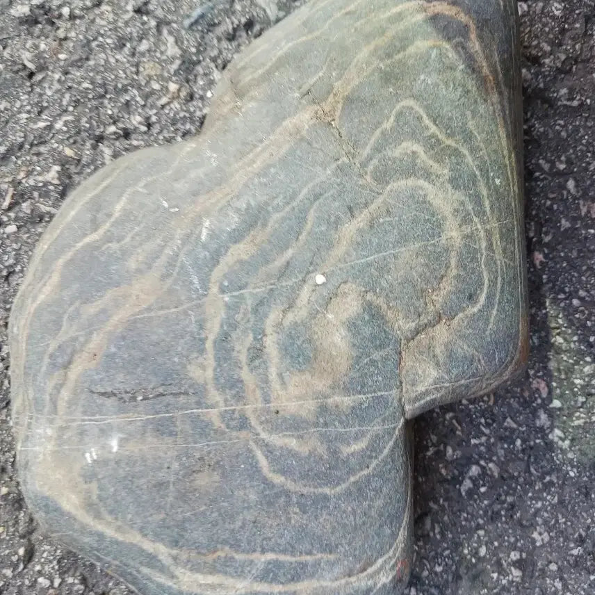 [BUNJANG] Natural Stone "Suseok" Display Stone (Approx. 25cm) / 자연석 무늬 돌...수석 25센티 정도