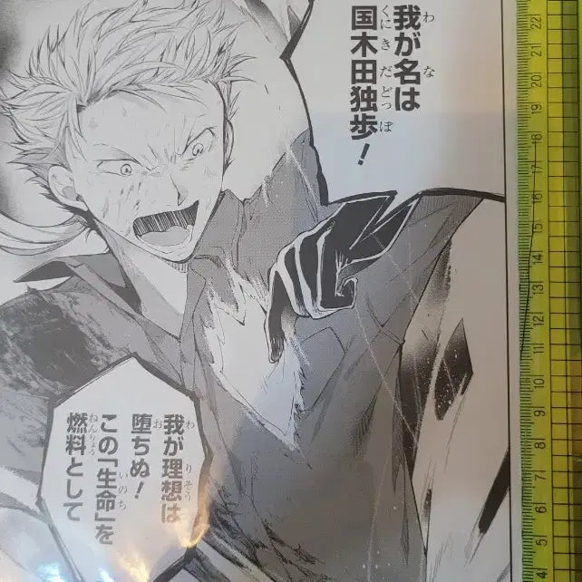 [BUNJANG] Bungo Stray Dogs Great Exhibition Part 2 - Replicated Manuscript C / 문호 스트레이독스 대박람회 제2막-복제 원고C