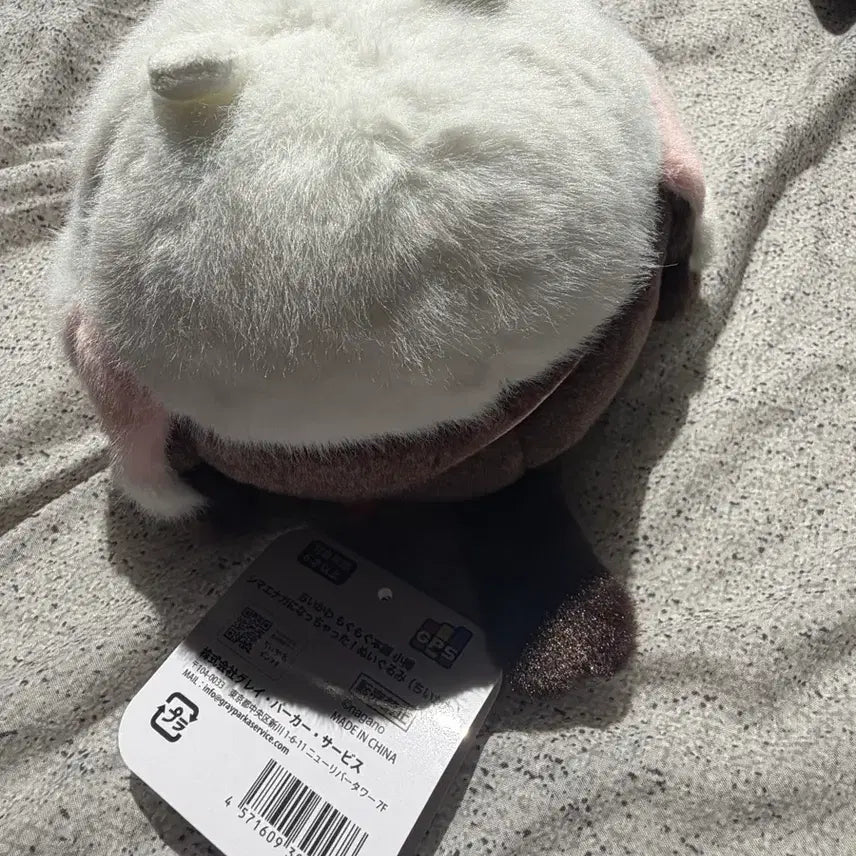 [BUNJANG] Chiikawa Official Cheezy Bird Plush / 정품) 먼작귀 치이카와 뱁새 치이카와