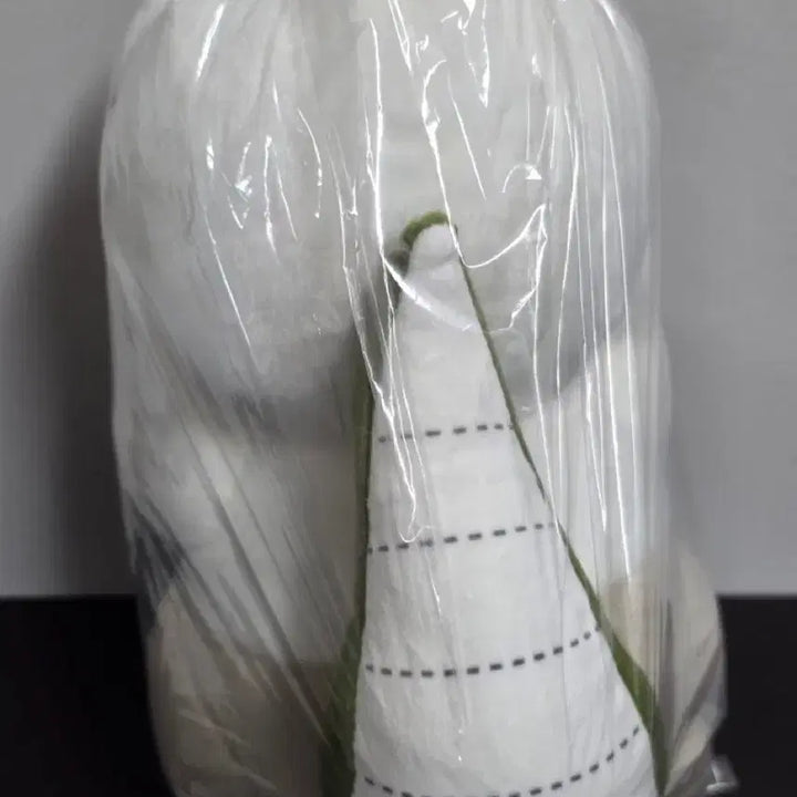 [BUNJANG] Chiikawa Anoko Nui Sealed Plush Doll (30cm) / 치이카와 아노코 누이 미개봉 현물