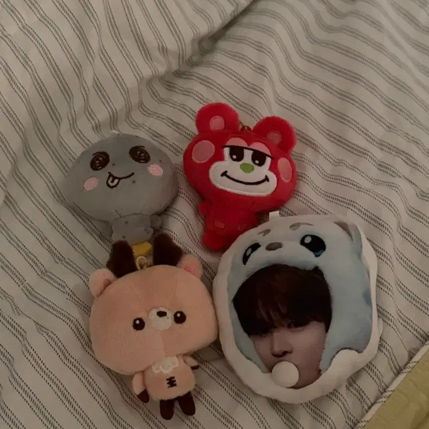 [BUNJANG] RIIZE Shotaro Eunseok Sungchan Plush Bundle Set / 라이즈 쇼타로 은석 성찬 인형 (일괄)