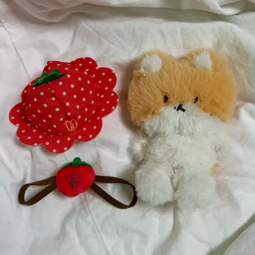 [BUNJANG] Baekhyun Strawberry Plush / 백현 딸기 터래기