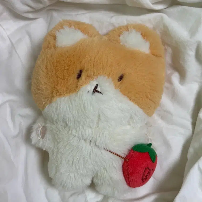 [BUNJANG] Baekhyun 20cm Plush / 백현 터래기 20cm
