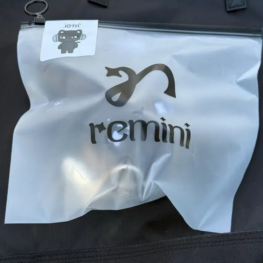 [BUNJANG] ReSienne Remini Jota Wonie Doll / 리센느 레미니 조타 원이 인형