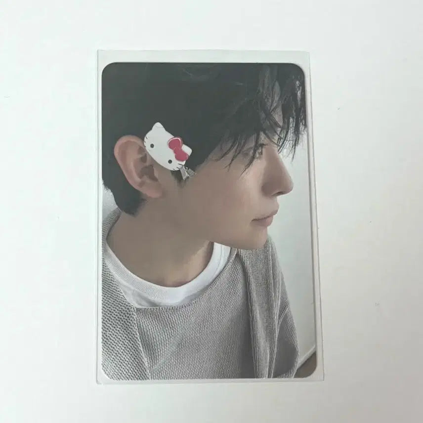 [BUNJANG] Yushi Kitty Photocard / 스테디 유우시 키티 포카