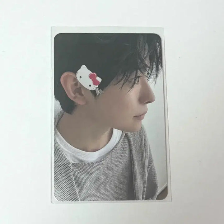 [BUNJANG] Yushi Kitty Photocard / 스테디 유우시 키티 포카