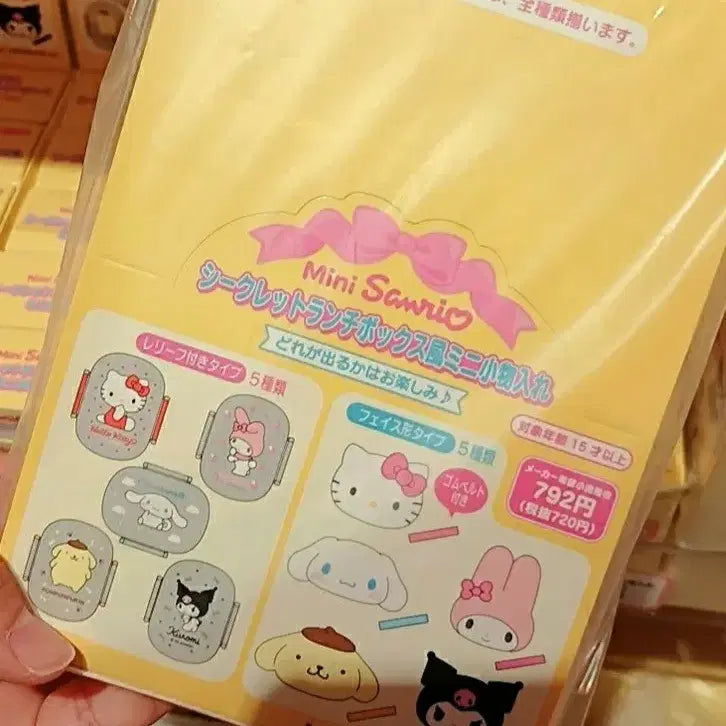 [BUNJANG] Sanrio Mini Accessory Case / 산리오 미니 소품함