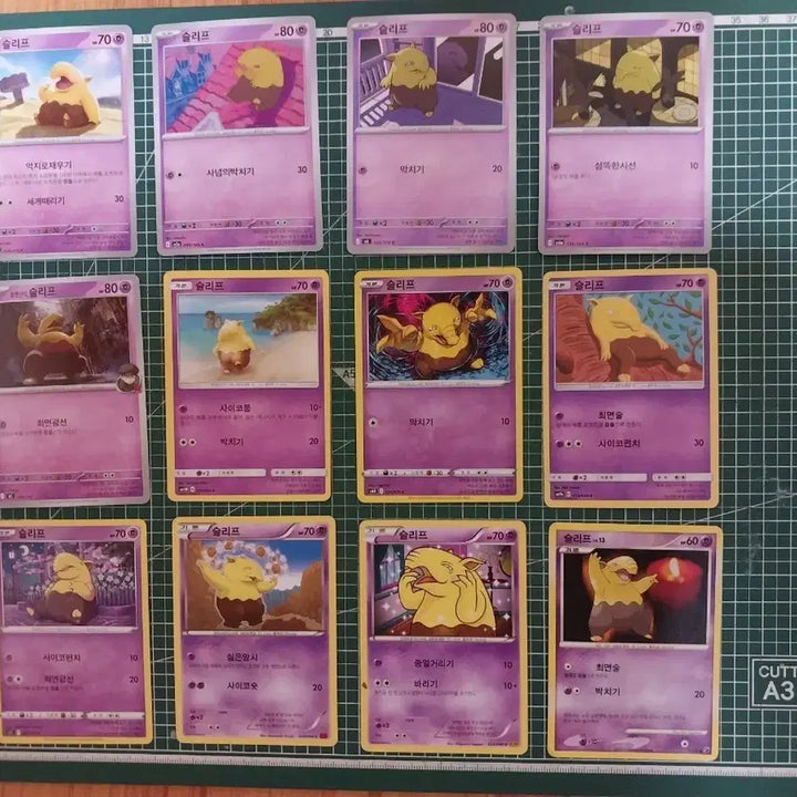 [BUNJANG] Pokemon Card Sleeves 12 Types Bundle Set / 포켓몬카드 슬리프 일반카드 12종 일괄