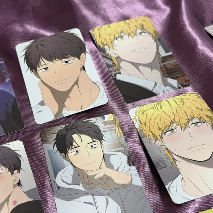 [BUNJANG] Yang Il-woo Photocard 10ea Set &amp; Bookmark 2ea Set / 양일우와 나 포토카드 10종 세트, 5특 북마크 2종