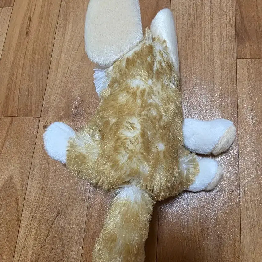 [BUNJANG] Desert Fox Plush Doll / 사막여우 봉제인형 귀여운 여우 인형