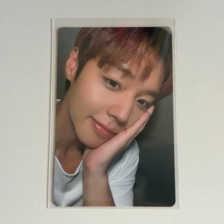 [BUNJANG] Park Ji Hoon Encore Concert Photocard / 박지훈 콘서트 앙콘 포카 입장포카
