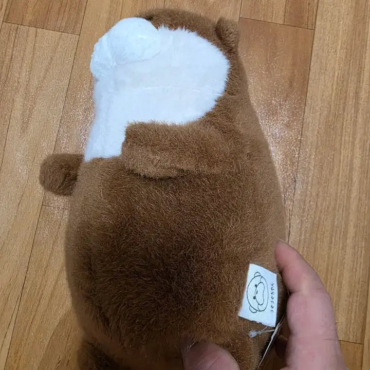 [BUNJANG] Brown Otter Plush Toy / 갈색 수달 봉제인형 귀여운 동물 인형