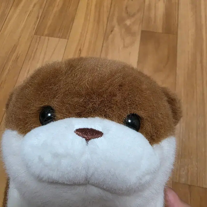[BUNJANG] Brown Otter Plush Toy / 갈색 수달 봉제인형 귀여운 동물 인형