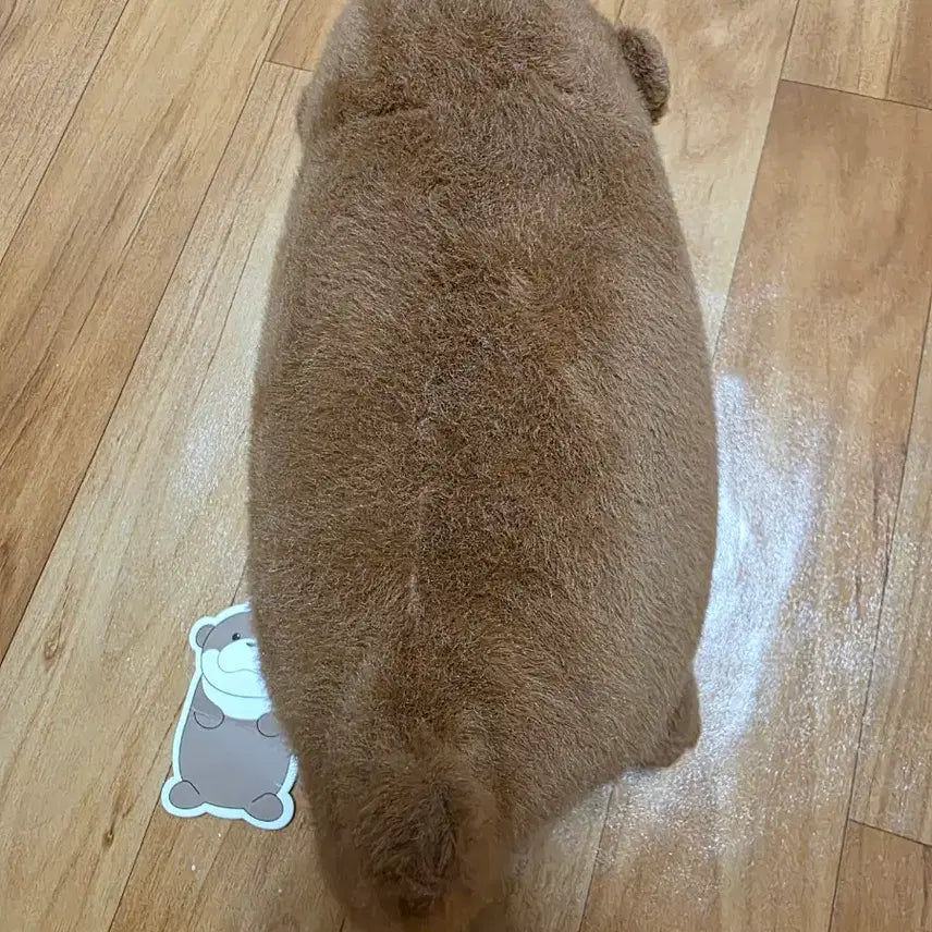 [BUNJANG] Brown Otter Plush Toy / 갈색 수달 봉제인형 귀여운 동물 인형