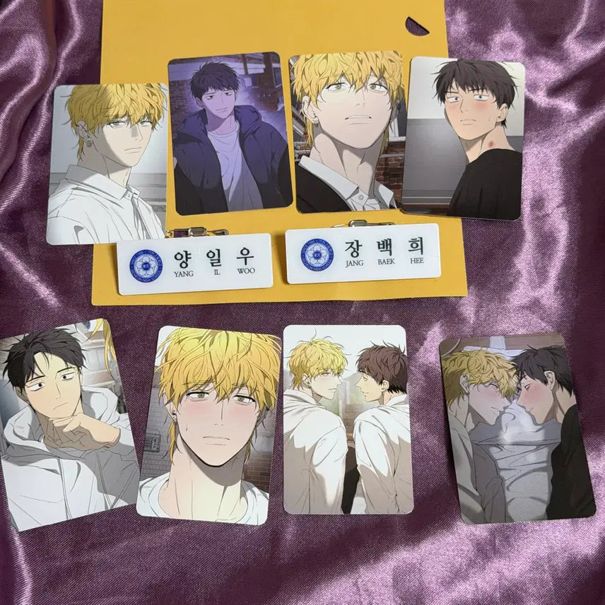 [BUNJANG] Yang Il-woo Photocard 8-Set + 2 Name Tags / 양일우와 나 포토카드 8종 세트, 명찰 2종