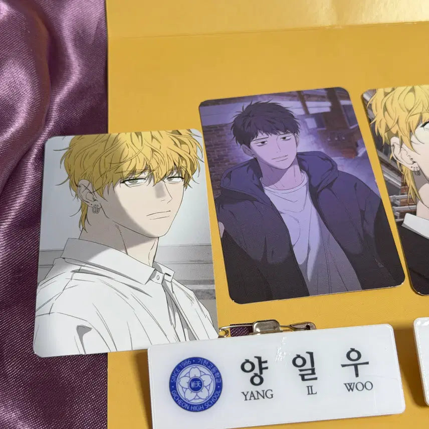 [BUNJANG] Yang Il-woo Photocard 8-Set + 2 Name Tags / 양일우와 나 포토카드 8종 세트, 명찰 2종