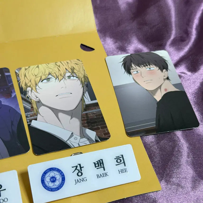 [BUNJANG] Yang Il-woo Photocard 8-Set + 2 Name Tags / 양일우와 나 포토카드 8종 세트, 명찰 2종