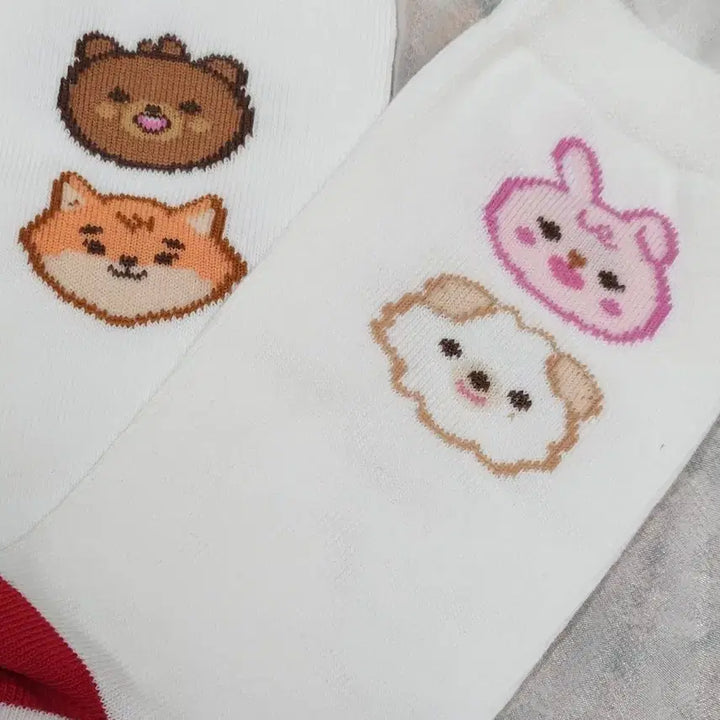 [BUNJANG] DAY6 Concert Socks / 데이식스 클콘 양말