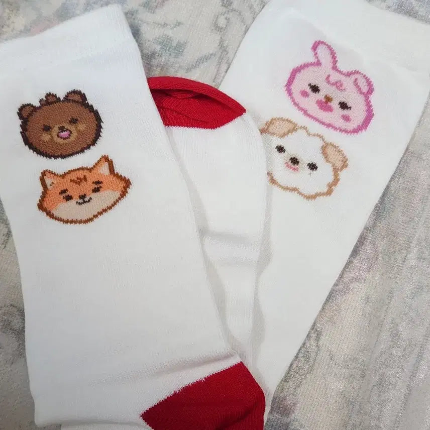 [BUNJANG] DAY6 Concert Socks / 데이식스 클콘 양말
