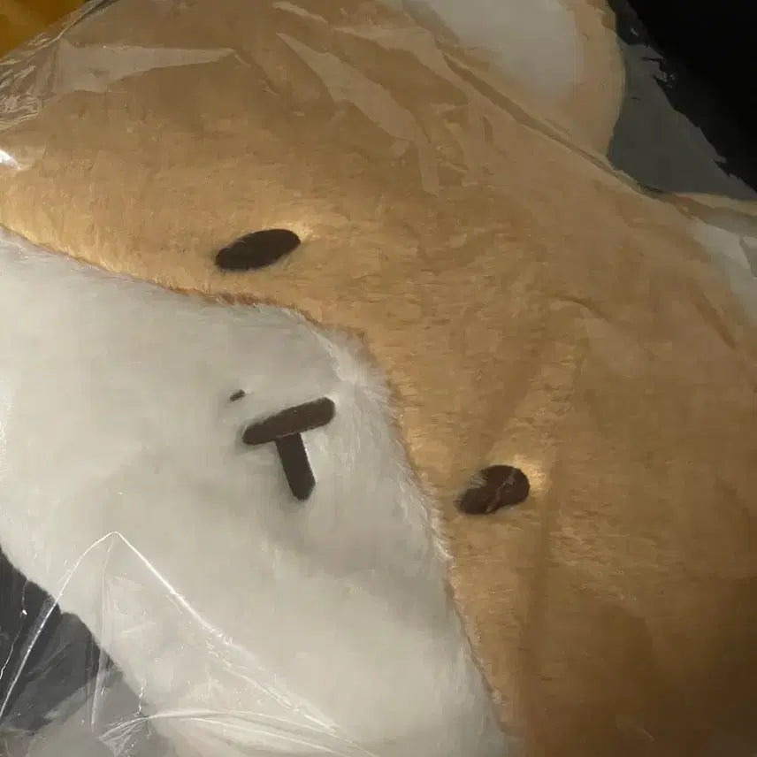 [BUNJANG] Sealed Fluffy Face Cushion / 터래기 얼굴 쿠션 미개봉