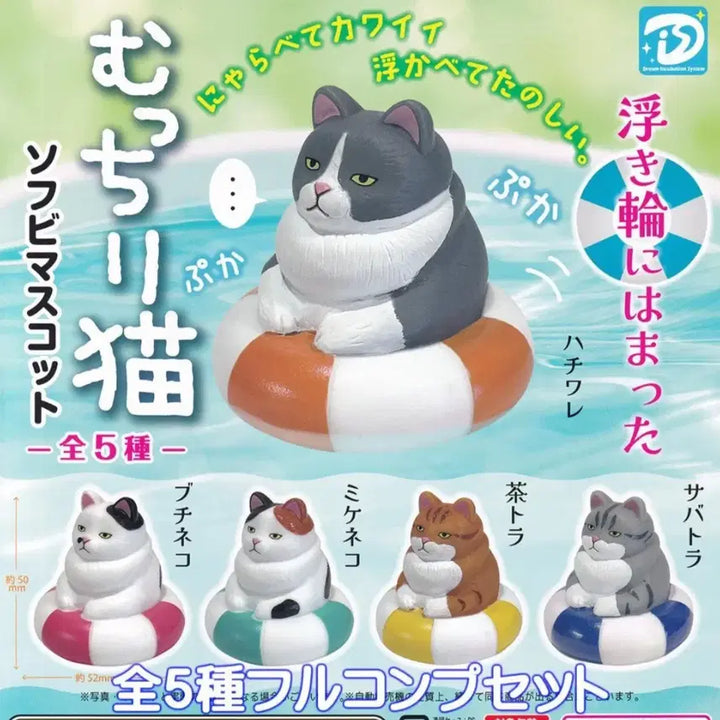 [BUNJANG] Chubby Cat Gacha Capsule Toy / 통통한 고양이 가챠 차 털 고양이