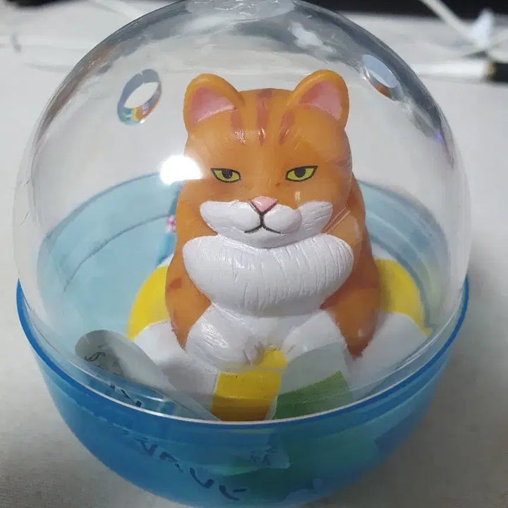 [BUNJANG] Chubby Cat Gacha Capsule Toy / 통통한 고양이 가챠 차 털 고양이
