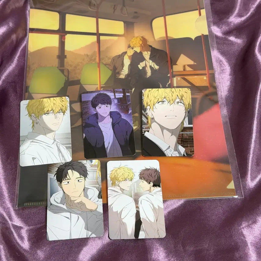[BUNJANG] Yang Il-woo 5 Photocard Set with L Holder / 양일우와 나 포토카드 5종 세트, L홀더