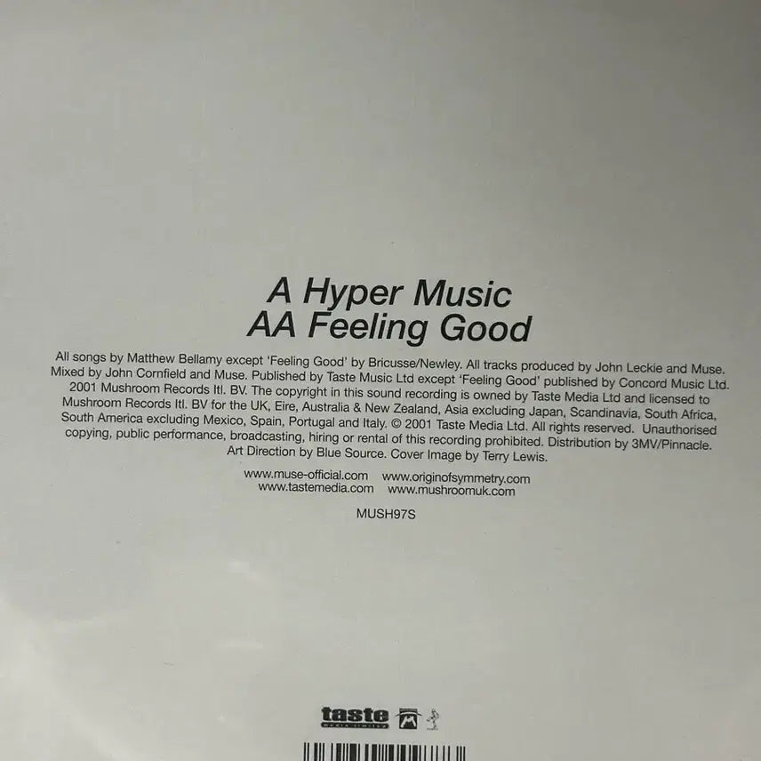 [BUNJANG] Muse Hyper Music &amp; Feeling Good Single 7-Inch LP Record Limited Edition / 뮤즈 하이퍼 뮤직 &amp; 필링굿 싱글 7인치 LP 레코드 리미티드 에디션