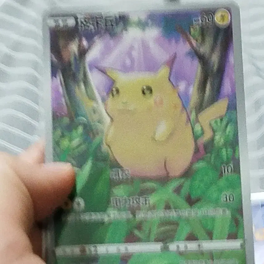 [BUNJANG] Pokemon Card Pikachu Promo Bundle Set (Reprint) / 포켓몬카드 중판 피카츄 프로모 일괄