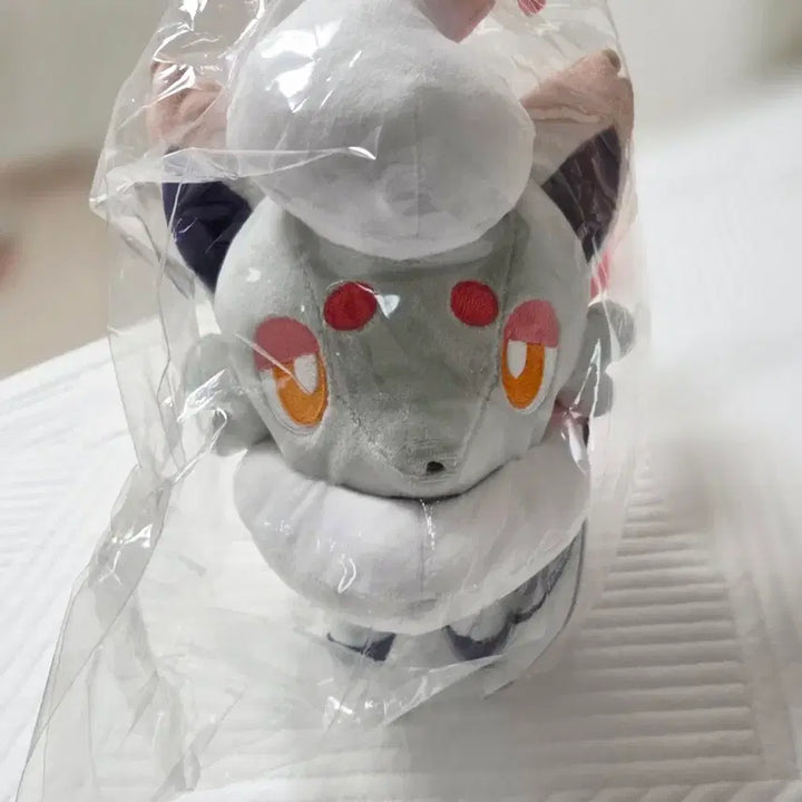[BUNJANG] Pokemon Hisui Zoroa Plush / 포켓몬 포켓몬스터 중포센 히스이 조로아 인형 누이 조로아크