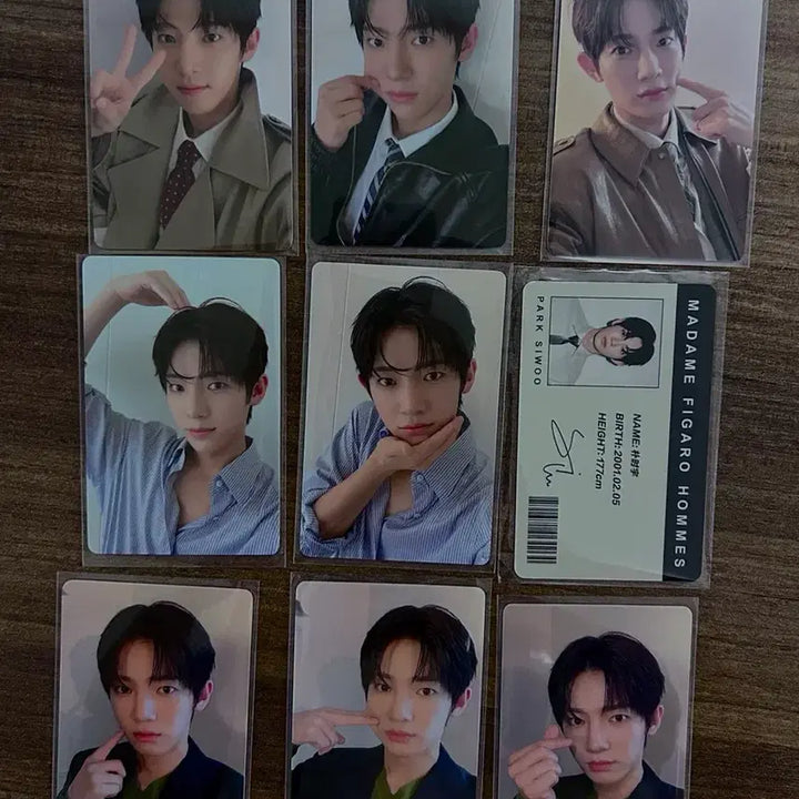 [BUNJANG] Park Siwoo Madame Figaro Photocard Bundle Set / 박시우 마담피가로 포카 일괄 양도 Madame Figaro 포토카드
