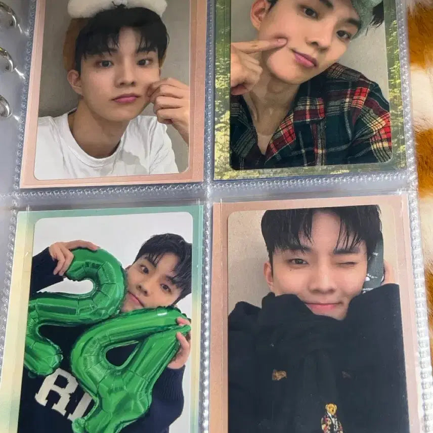 [BUNJANG] The Boyz Q Dewytree Photocard Bundle Set / 더보이즈 큐 듀이트리 포카 양도