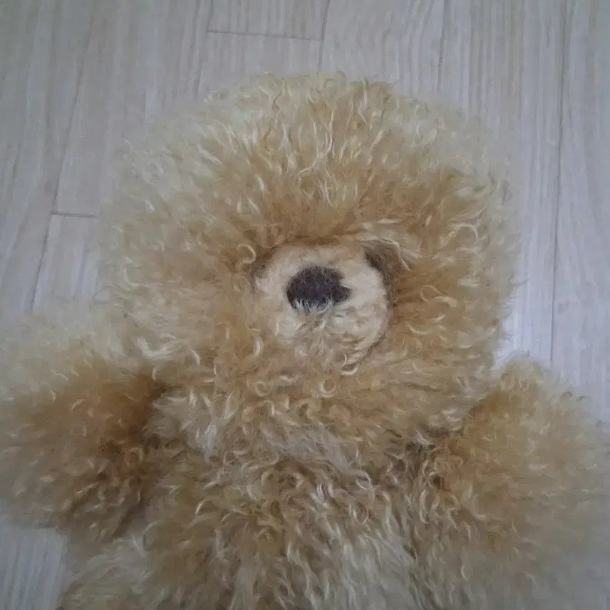 [BUNJANG] Combali Alpaca Brown Teddy Bear Medium / 컴발리 알파카 갈색 곰돌이 인형 미디움
