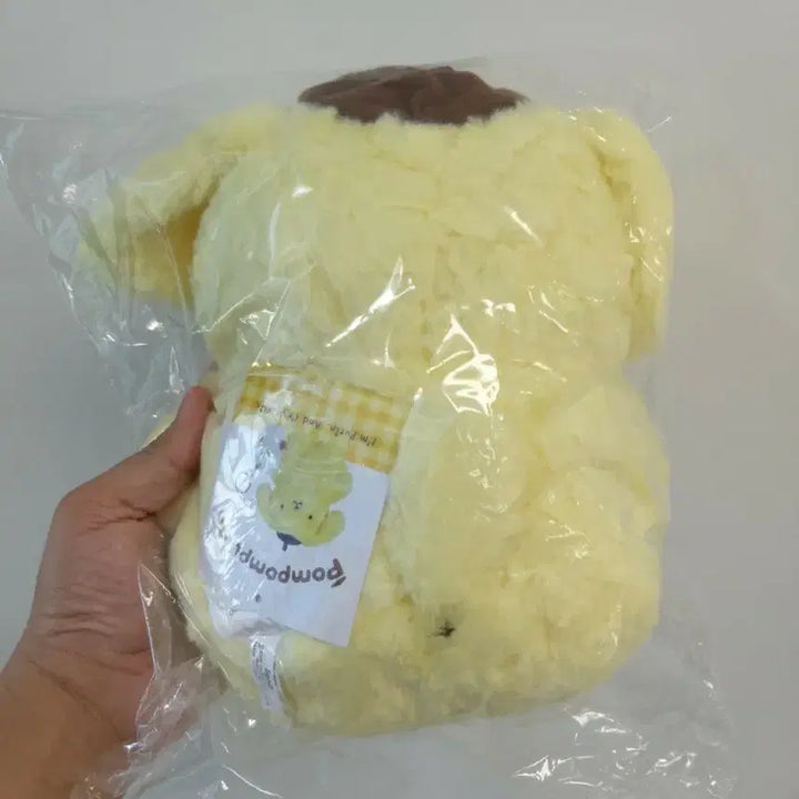 [BUNJANG] Pompu That Time M Size / 폼푸 그때그시절 m사이즈
